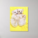 Recherche de comportement de chien posters Plan rapproché