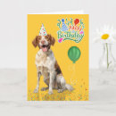 Search for brittany dog cards Pets