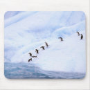 Search for penguin mousepads Ocean