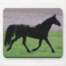 Search for arabs mousepads Horses