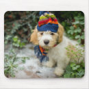 Search for dog picture mousepads Photography