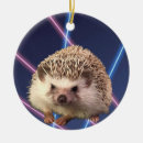 Recherche de hérisson ornements Noël