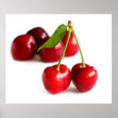 Recherche de de cerise posters Bio