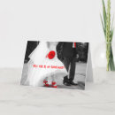 Search for request photography Red
