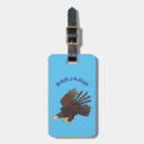 Search for falconry accessories Raptor