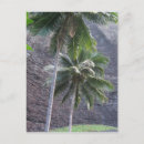 Recherche de kauai cartes postales Mer