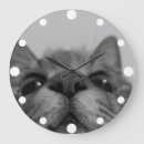 Recherche de visage de chat cartes postales Chatte