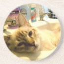 Recherche de relaxed Chat