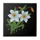 Recherche de fleur jonquille carreaux Fleurs