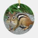 Search for chipmunk ornaments Animal