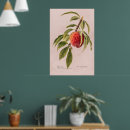 Search for twig posters Fruit