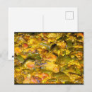 Recherche de paella cartes postales Nourriture