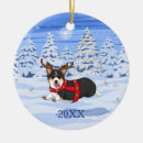 Search for dog costume ornaments Dogs