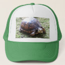 Search for turtle hats Adorable