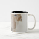 Recherche de deux lapins tasses Mignon