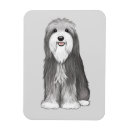 Recherche de barbu magnets Animaux
