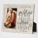 Recherche de cheval plaques Gardien