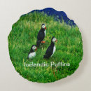 Search for puffin pillows Iceland