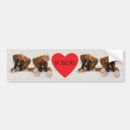 Search for boxer dog bumper stickers Puppies