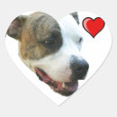 Recherche de terrier pitbull américain autocollants Dog