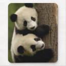 Search for the researcher mousepads Wolong research centre