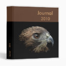 Recherche de queue rouge Buteo