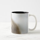 Recherche de intérêts tasses Animal