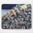 Search for bee queen mousepads Bees