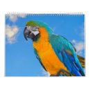 Search for parrot calendars Bird