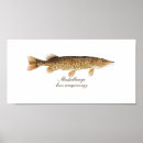 Recherche de brochet posters Lac