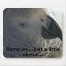 Search for african greys mousepads African grey parrot