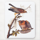 Recherche de oiseaux proie tapis souris Oiseau de proie