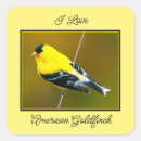 Search for goldfinch stickers Yellow
