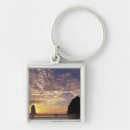 Search for nas keychains Coast