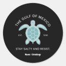 Search for vintage turtle stickers Mexico