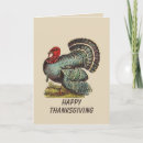 Recherche de faune action vœux cartes Oiseaux