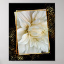 Search for dahlia flower posters Black