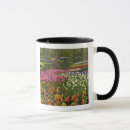 Search for holland park mugs Landscaping
