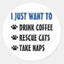 Search for coffee cat stickers Crazy cat lady