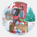 Search for weimaraner dog stickers Animal