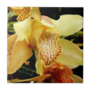 Search for pale yellow tiles Flower