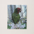 Recherche de parrot puzzles Perroquet