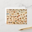 Recherche de kessel cartes postales Papillon