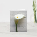 Search for calla lilies thank you cards Flowers