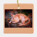 Search for ginger cat ornaments Xmas