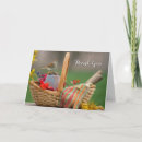 Search for perching cards Wildlife