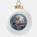 Search for snowy owl ornaments Winter