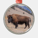 Search for bison ornaments Wildlife