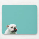 Search for bulldog mousepads Animals