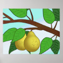Search for pear tree posters Leaves